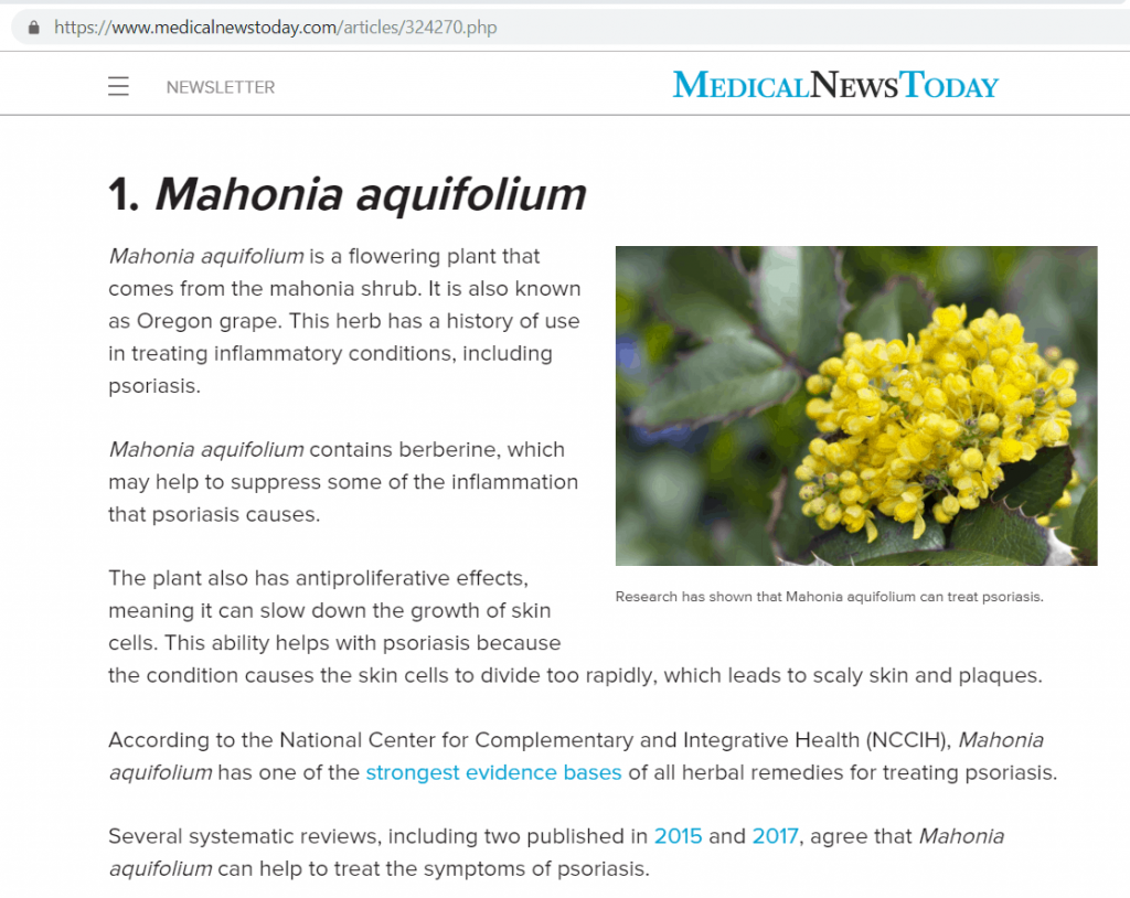 Medical News Today reports that Mahonia aquifolium has one of the strongest evidence bases of all herbal remedies for treating Psoriasis